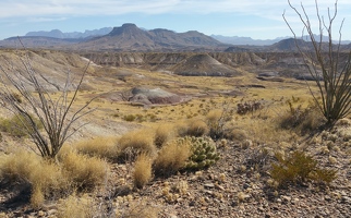 Landscape from Old Maverick Road